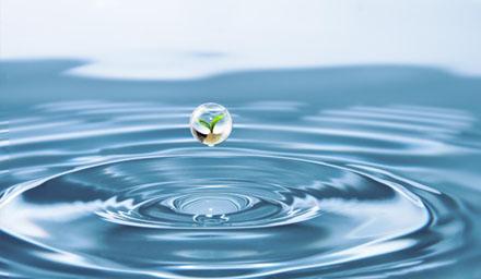 喜報(bào) | 海星股份成功獲評(píng)“江蘇省節(jié)水型企業(yè)”！