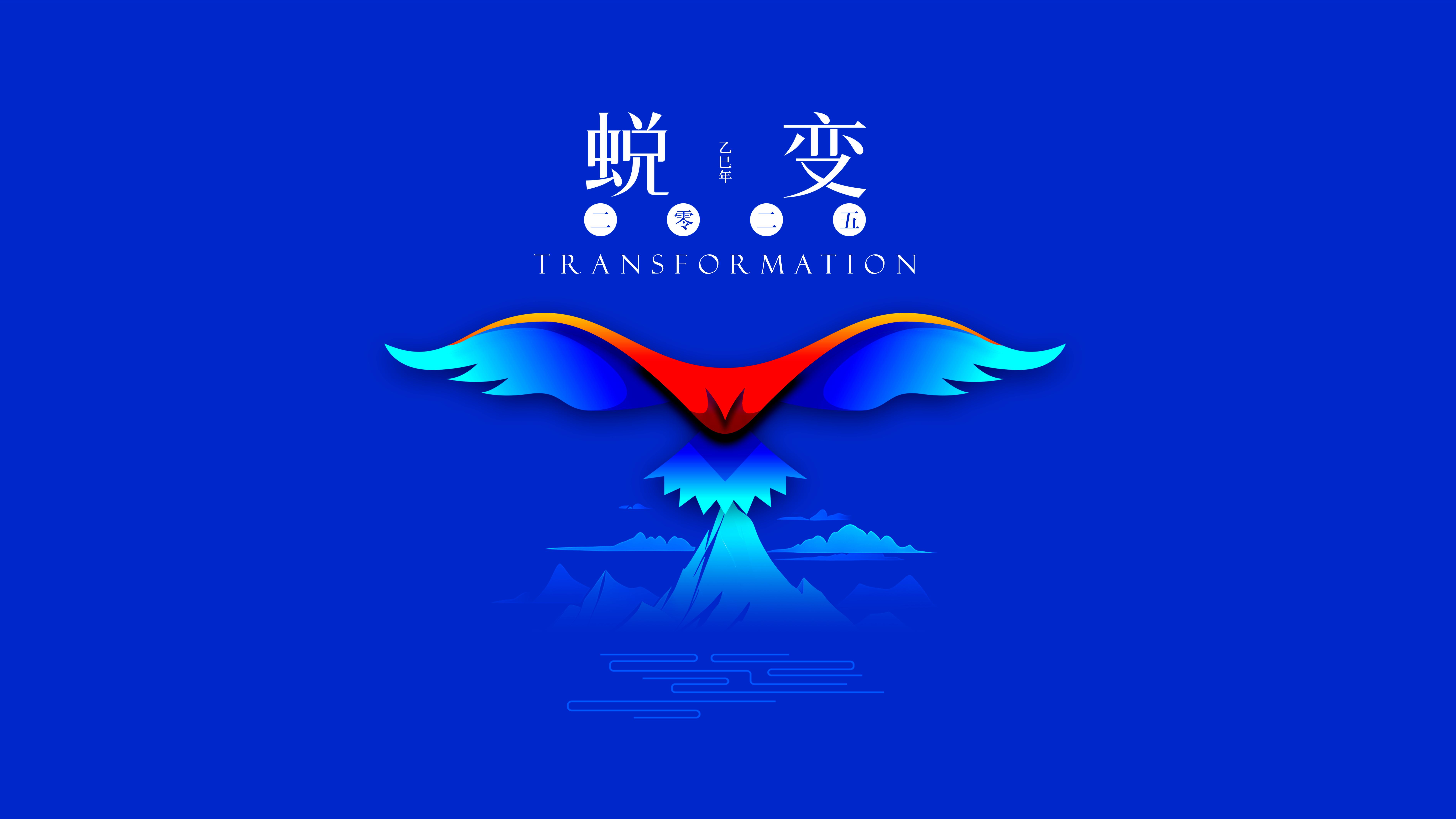 我與海星的2024，期待2025年與您一起續(xù)寫美好篇章